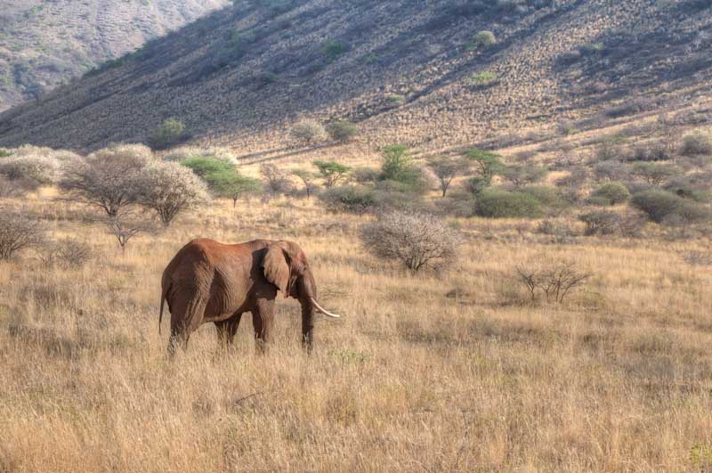 kenya_2012_KEN_1468_hdr